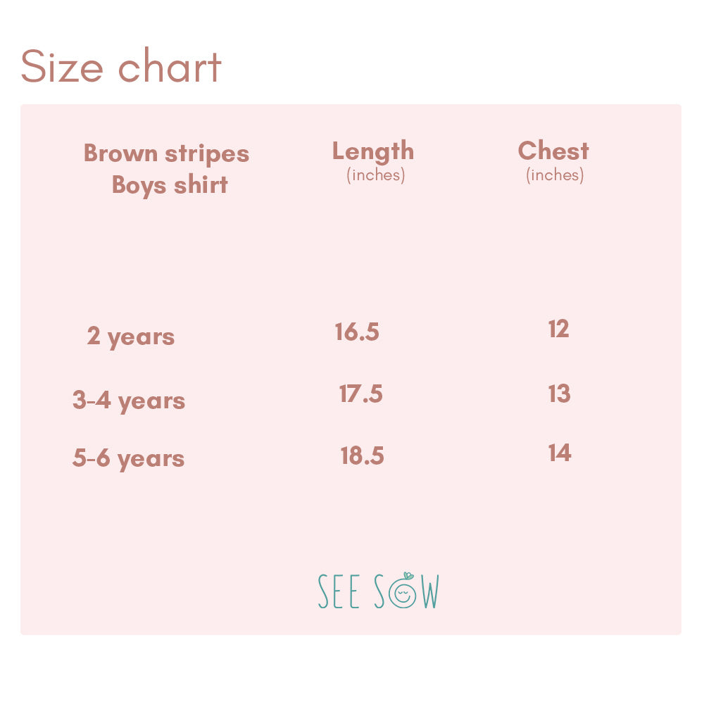 Brown Stripes Boys Shirt